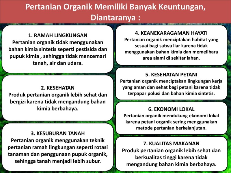 First slide