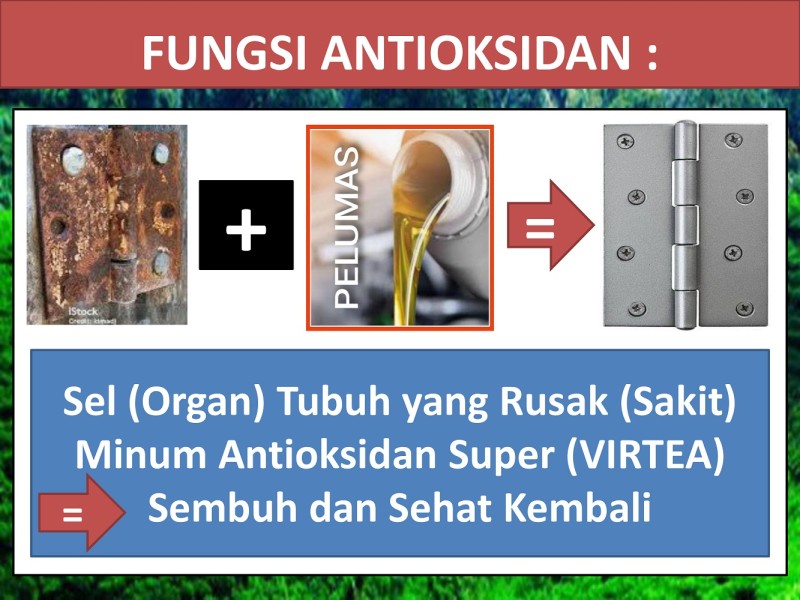 First slide