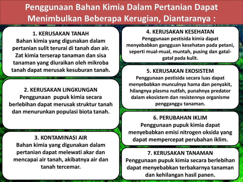 First slide