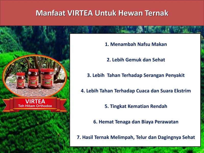 First slide