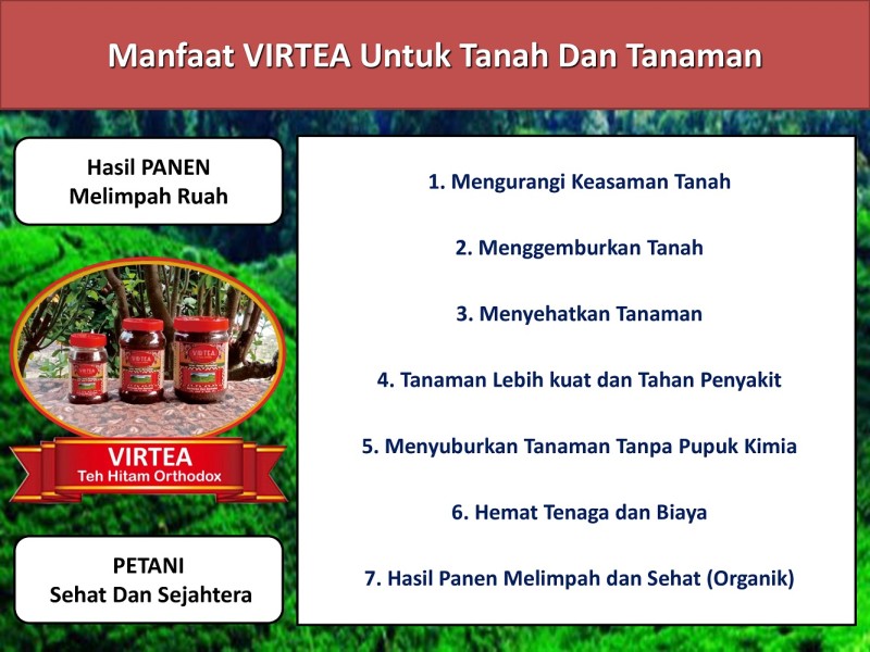 First slide