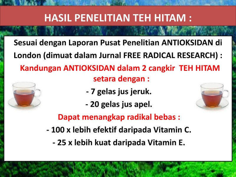 First slide